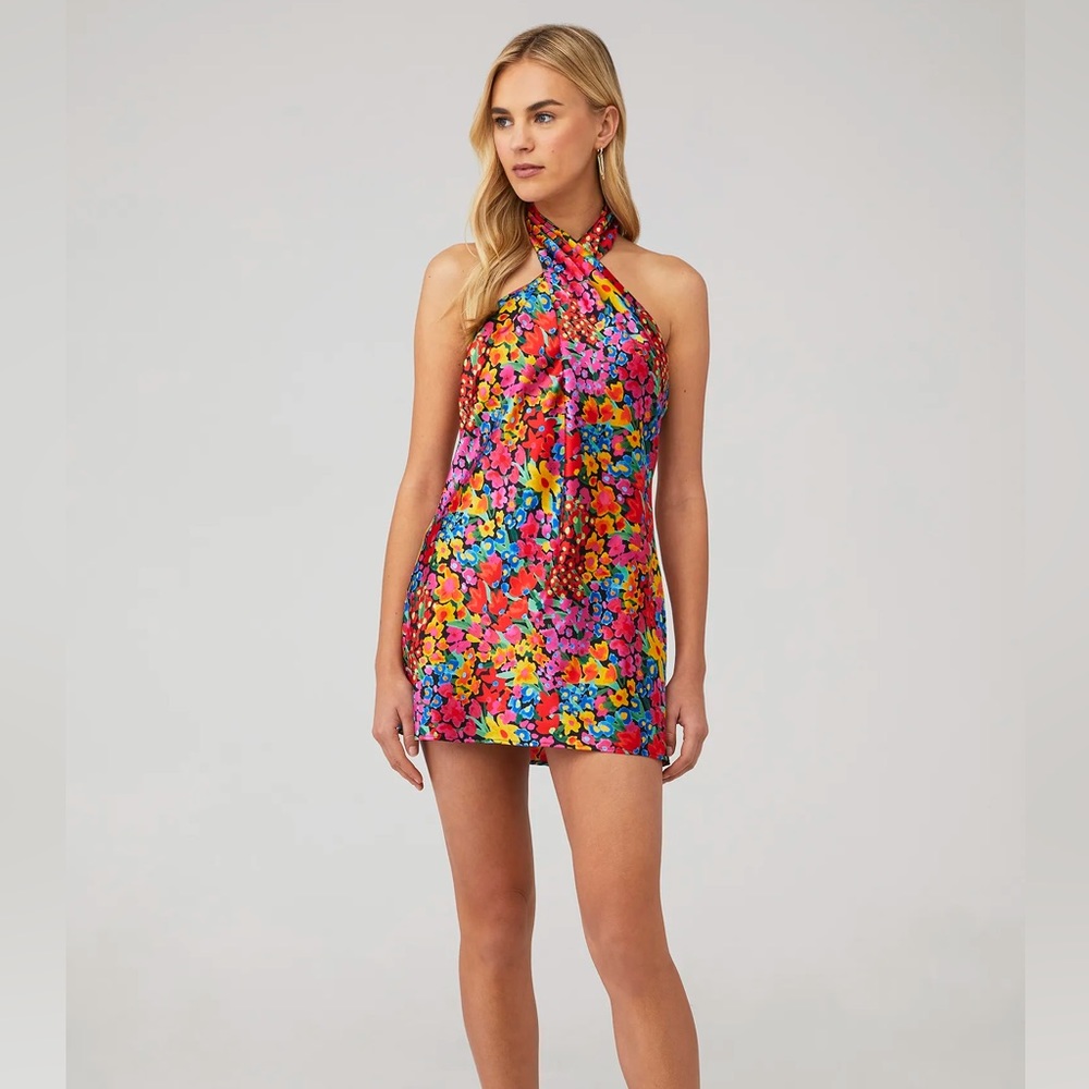 Show me your mumu jasmine halter dress